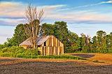 Barn In A Field_10639